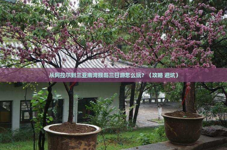 阿拉尔去三亚南湾猴岛三日游