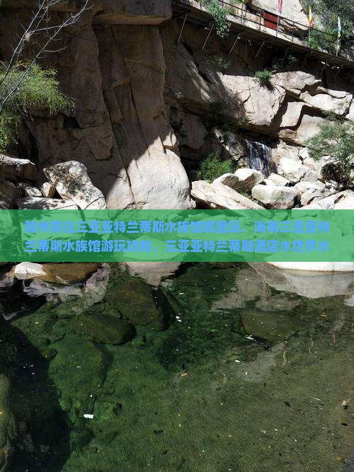 赣州前往三亚亚特兰蒂斯水族馆哪里玩