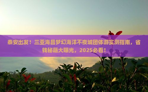 泰安前往三亚海昌梦幻海洋不夜城团体旅游 泰安前往三亚海昌梦幻海洋不夜城团体旅游