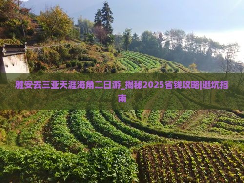 雅安去三亚天涯海角二日游