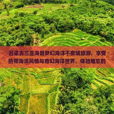 吕梁去三亚海昌梦幻海洋不夜城旅游