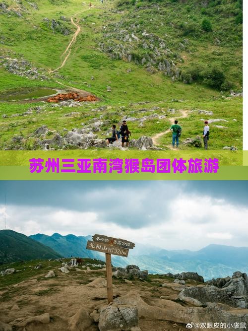 苏州去三亚南湾猴岛团体旅游