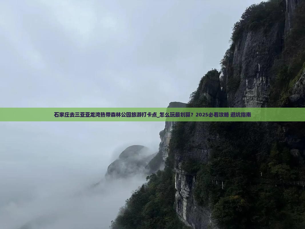 石家庄去三亚亚龙湾热带森林公园旅游打卡点