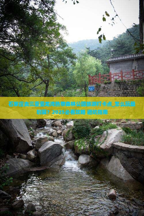 石家庄去三亚亚龙湾热带森林公园旅游打卡点