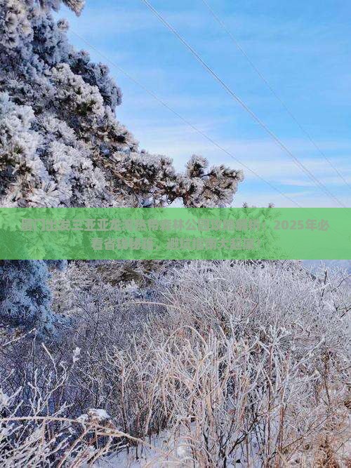 厦门出发三亚亚龙湾热带森林公园攻略