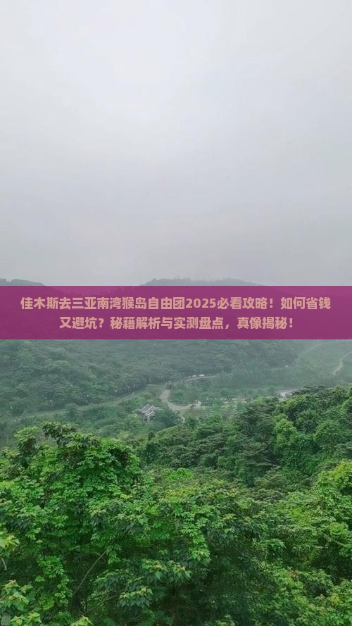 佳木斯去三亚南湾猴岛自由团
