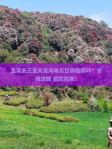 玉溪去三亚天涯海角五日游