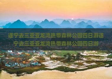 遂宁去三亚亚龙湾热带森林公园四日游 遂宁去三亚亚龙湾热带森林公园四日游