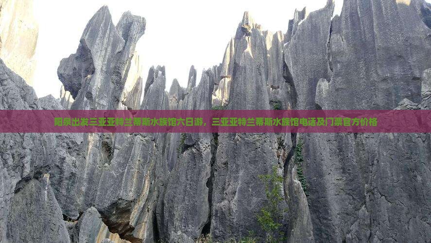 阳泉出发三亚亚特兰蒂斯水族馆六日游