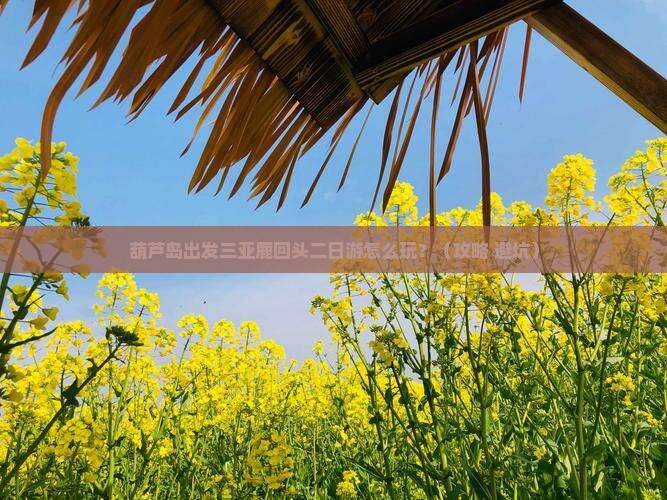 葫芦岛出发三亚鹿回头二日游