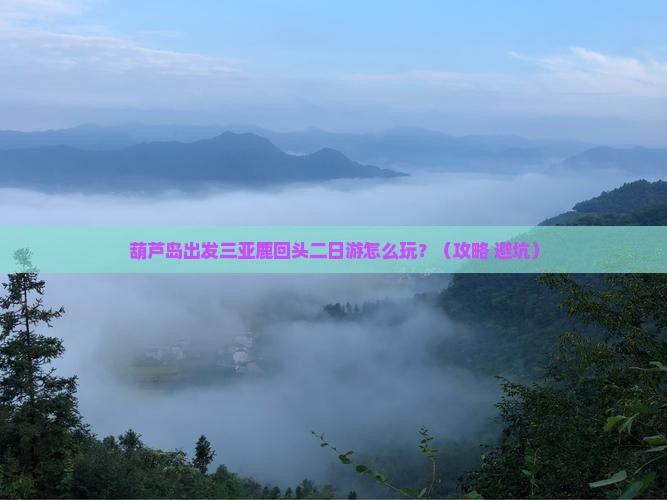 葫芦岛出发三亚鹿回头二日游