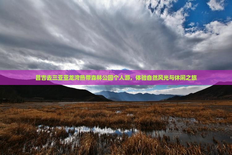 昌吉去三亚亚龙湾热带森林公园个人游