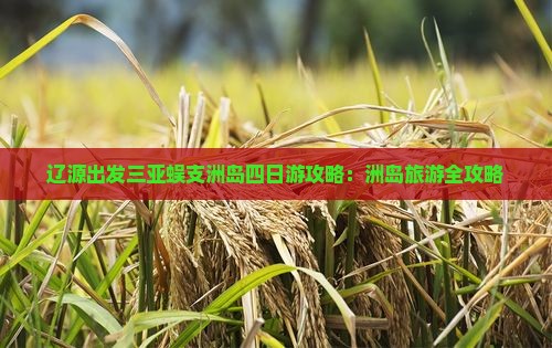 辽源出发三亚蜈支洲岛四日游