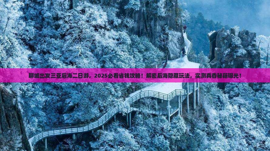 聊城出发三亚后海二日游