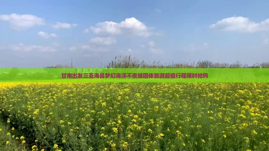 甘南出发三亚海昌梦幻海洋不夜城团体旅游
