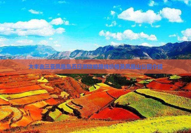 大丰去三亚凤凰岛五日游