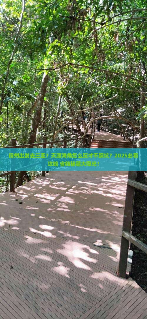 宿州出发三亚天涯海角旅行社