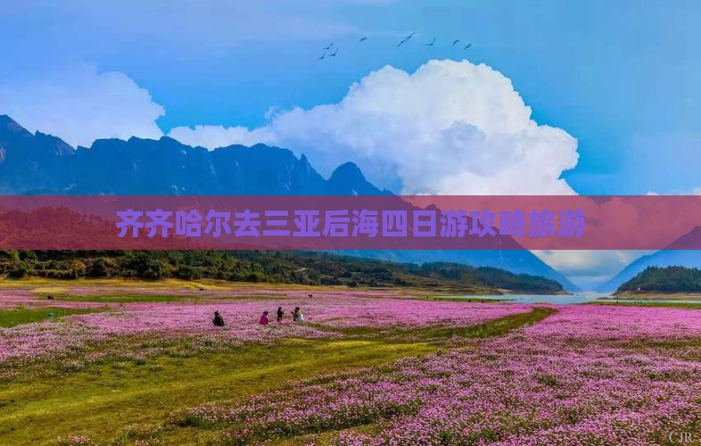 齐齐哈尔去三亚后海四日游
