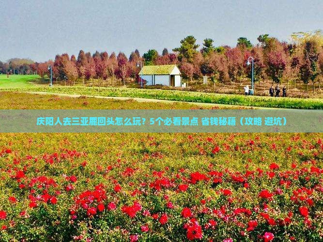 庆阳去三亚鹿回头大型旅游团