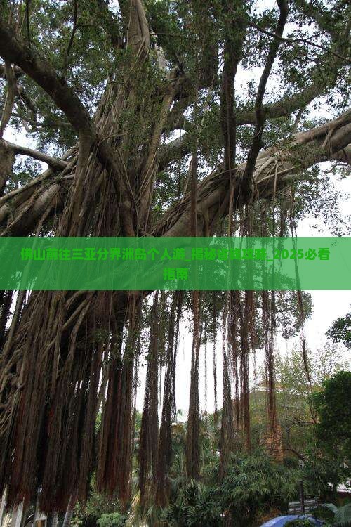 佛山前往三亚分界洲岛个人游