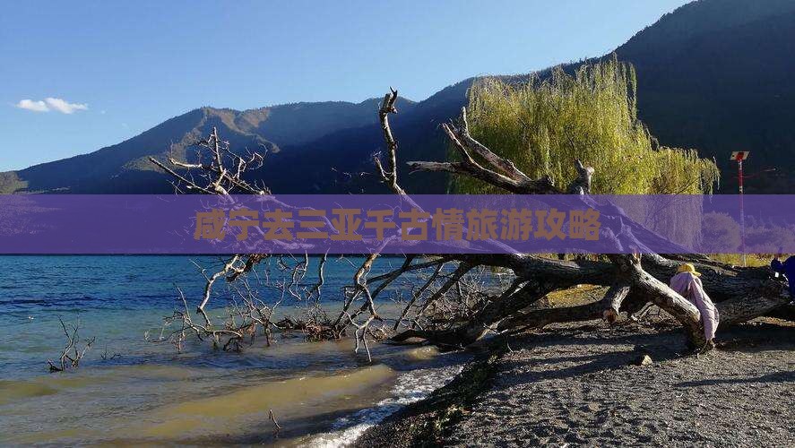 咸宁去三亚千古情自由团