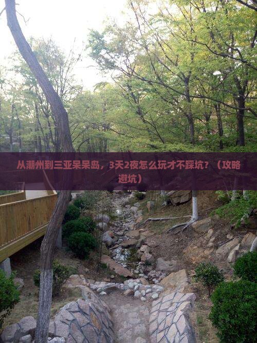 潮州前往三亚呆呆岛自由团
