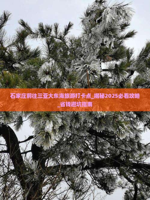 石家庄前往三亚大东海旅游打卡点