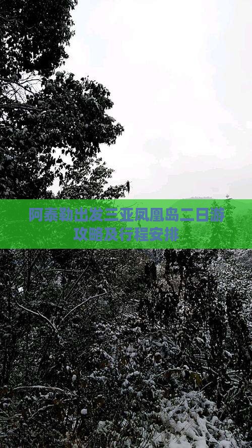 阿泰勒出发三亚凤凰岛二日游