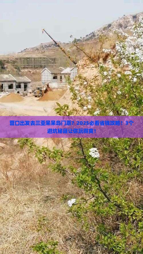 营口前往三亚呆呆岛门票