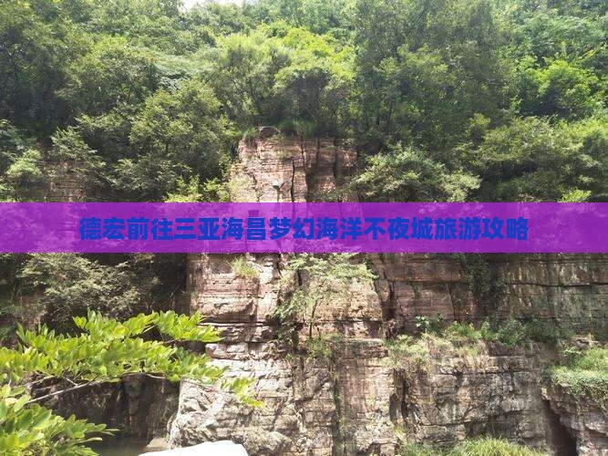 德宏前往三亚海昌梦幻海洋不夜城大型旅游团