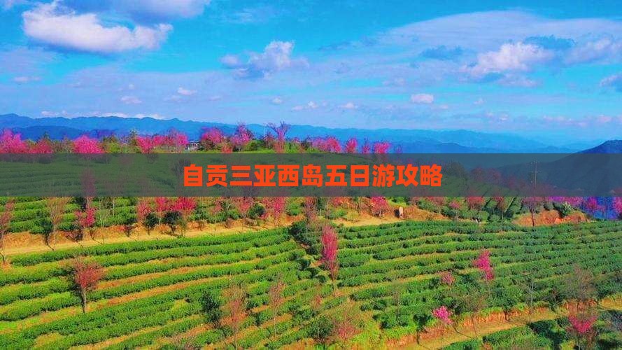 自贡去三亚西岛五日游