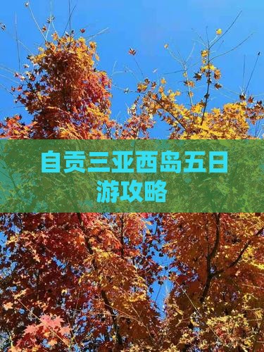 自贡去三亚西岛五日游