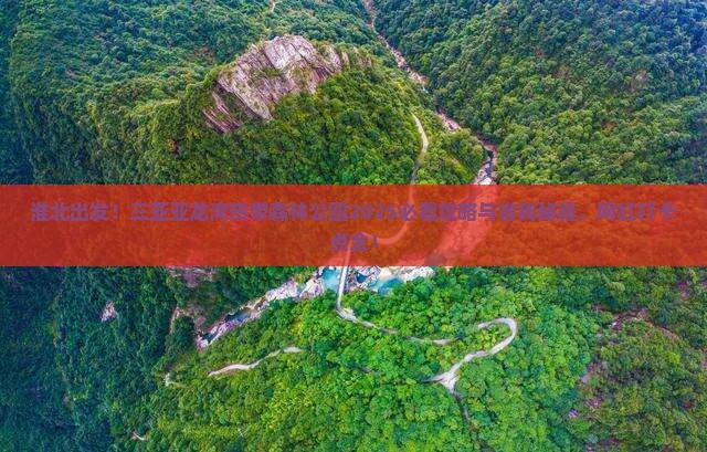 淮北去三亚亚龙湾热带森林公园旅游网红地点