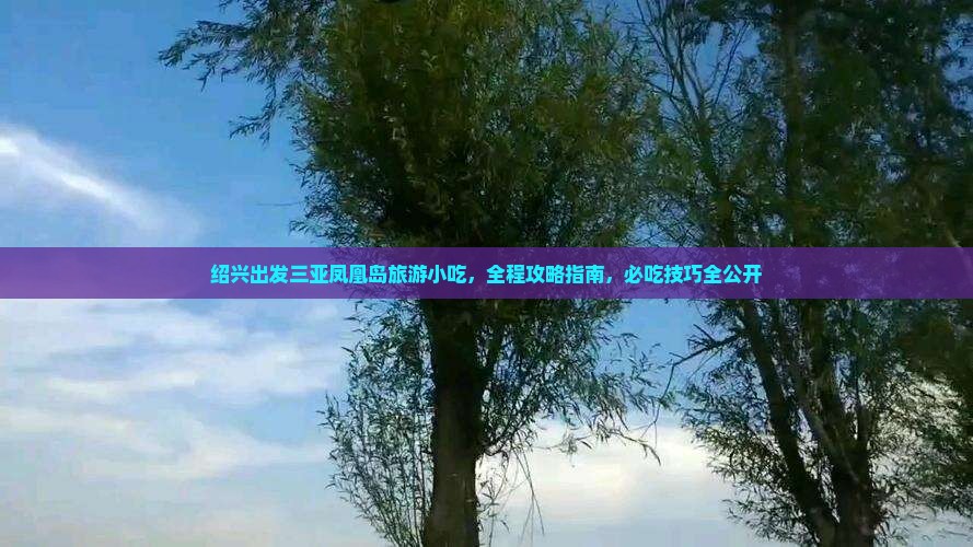 绍兴出发三亚凤凰岛旅游小吃
