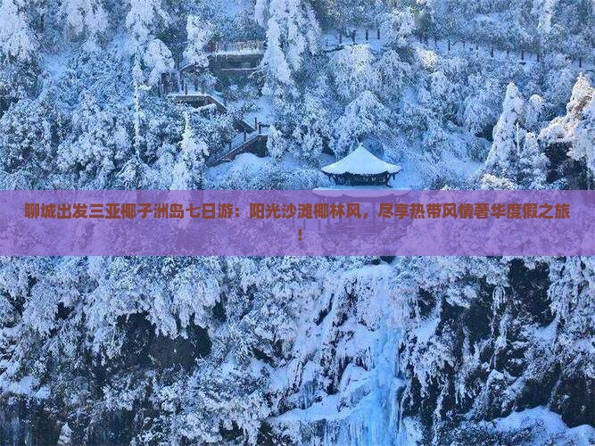 聊城出发三亚椰子洲岛七日游