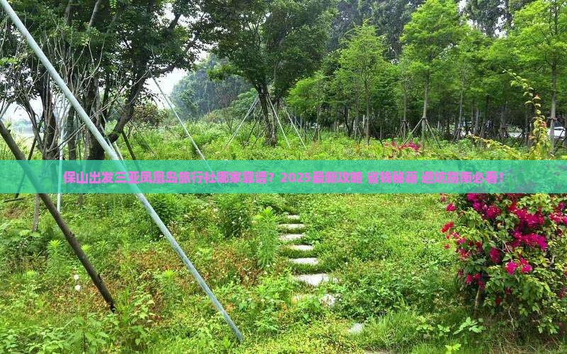 保山出发三亚凤凰岛旅行社