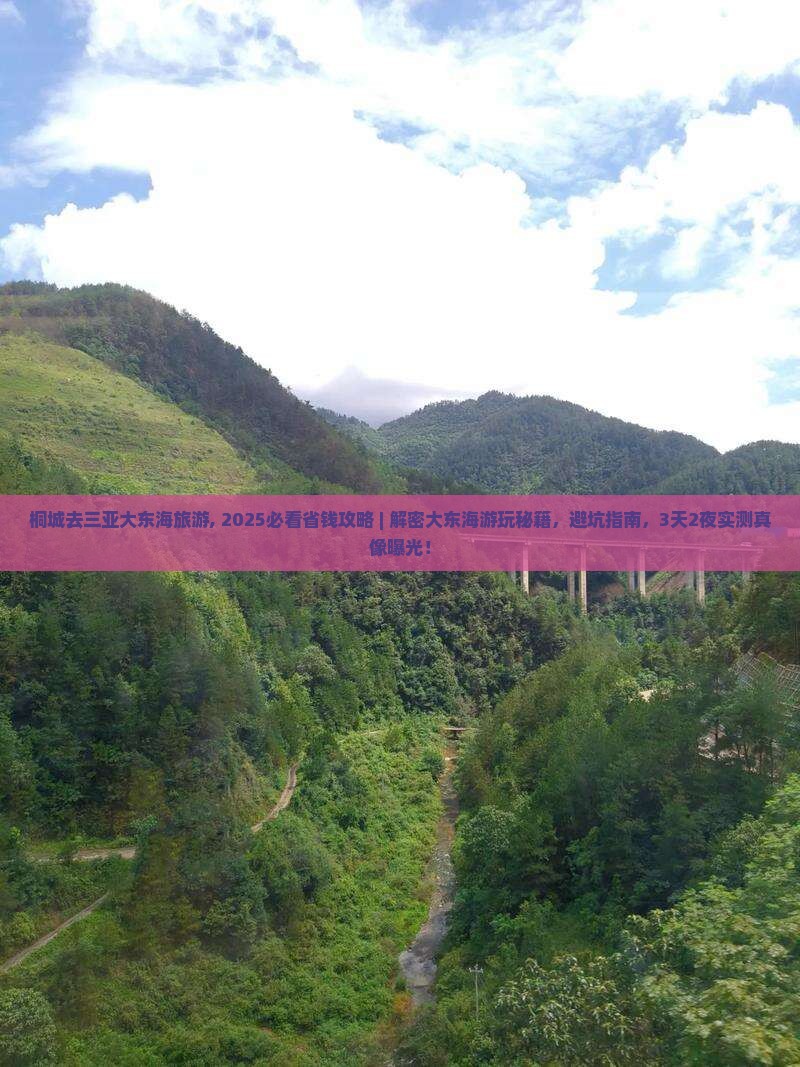 桐城去三亚大东海旅游