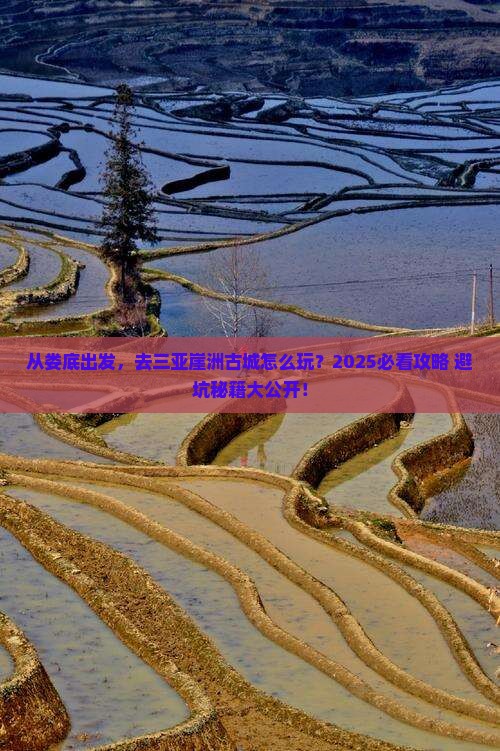娄底前往三亚崖洲古城旅游