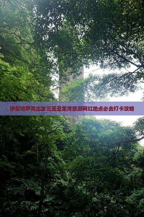 伊犁哈萨克出发三亚亚龙湾旅游网红地点