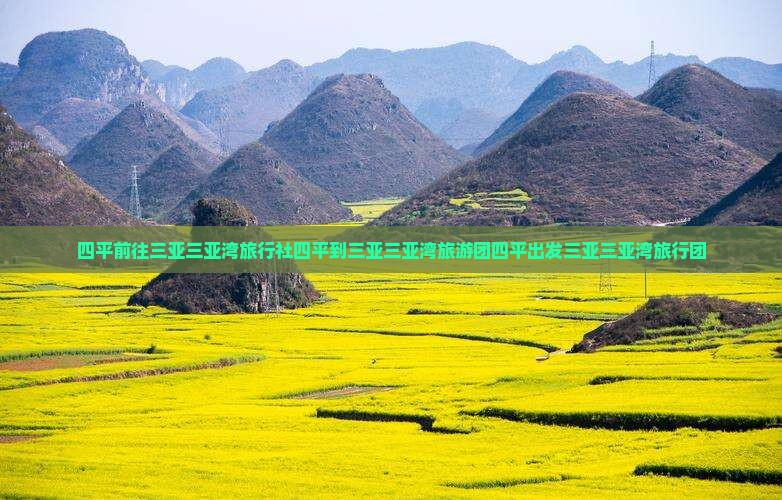 四平前往三亚三亚湾旅行社