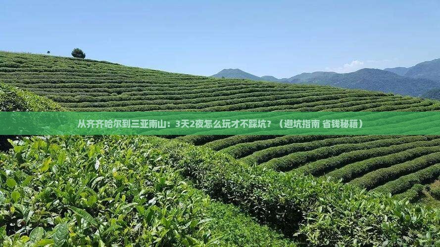齐齐哈尔出发三亚南山文化旅游区自由行