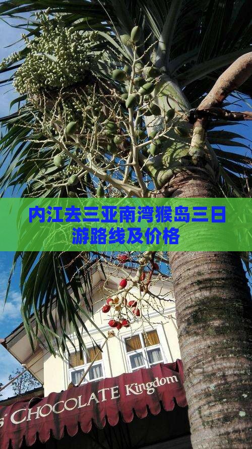 内江去三亚南湾猴岛三日游