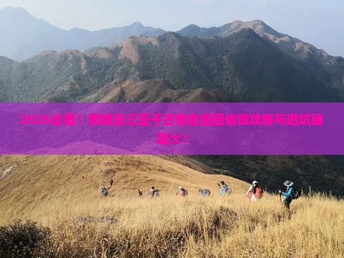 桐城去三亚千古情自由团