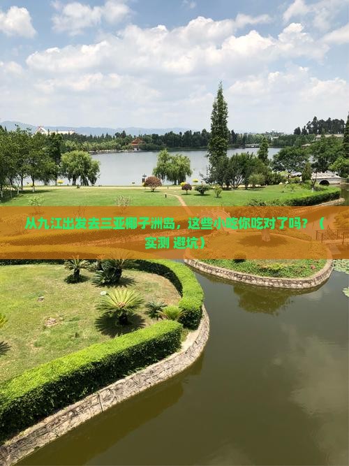 九江出发三亚椰子洲岛旅游小吃