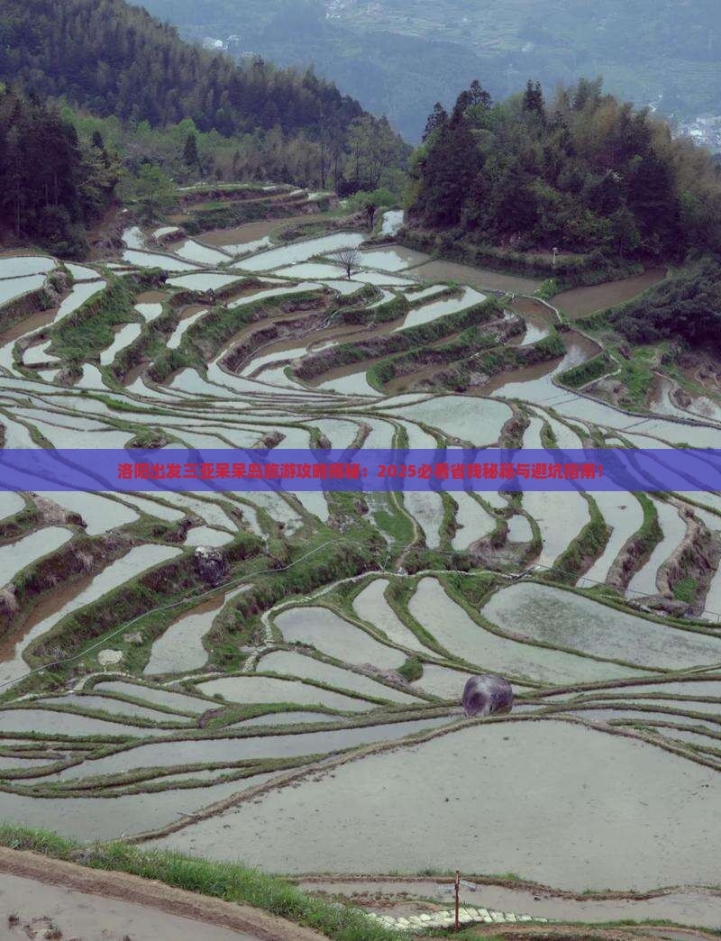 洛阳出发三亚呆呆岛旅游