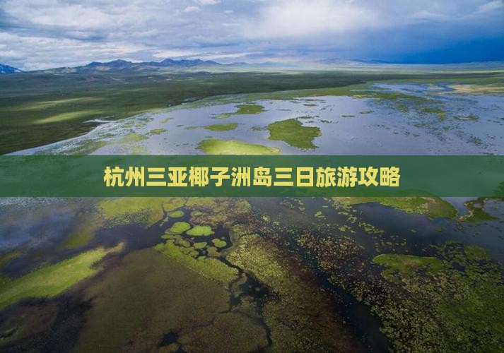 杭州出发三亚椰子洲岛三日游