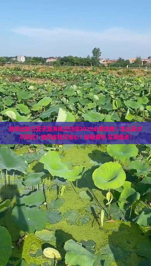 淮安出发三亚天涯海角三日游 淮安出发三亚天涯海角三日游