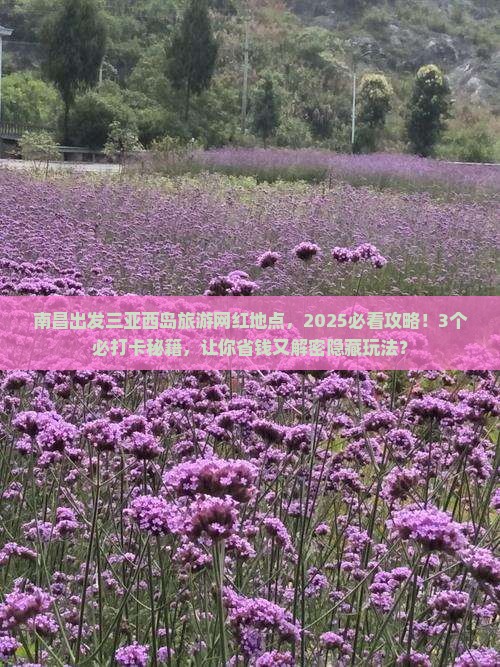 南昌出发三亚西岛旅游网红地点