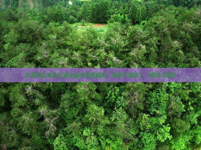 苏州出发三亚半山半岛帆船港旅行社