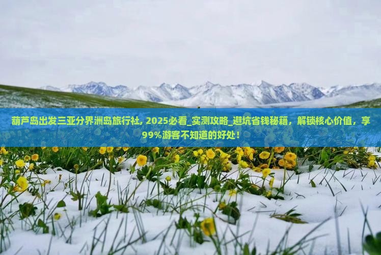 葫芦岛出发三亚分界洲岛旅行社